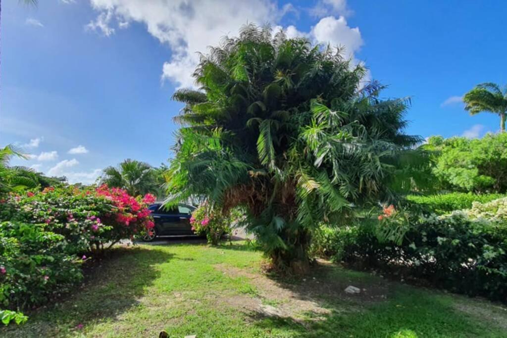 Ferienwohnung Grand Studio Tropical Idealement Situe, Jardin Et Piscine Saint-Francois  Exterior foto